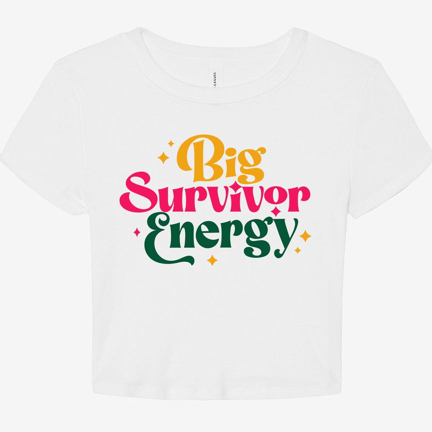 Bella Canvas Women's Micro Rib Baby Tee 1010