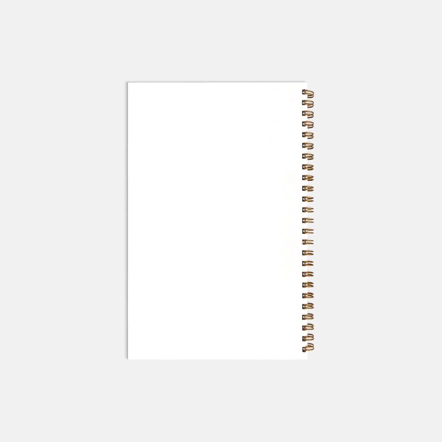 Notebook Softcover Spiral 5.5 x 8.5